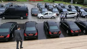 Plakaların  Renkleri ve Anlamları